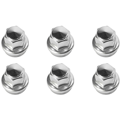 2015-2019 F-150 LUG NUT KIT